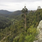 YOGA & CAMINHADA - SERRA DE VALONGO